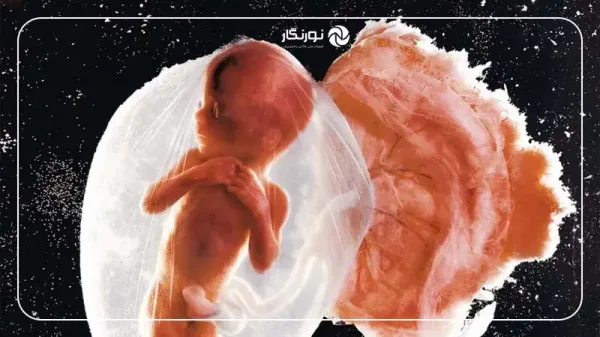  عکس های معروف جهان