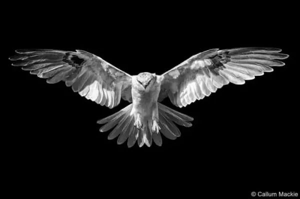 ده عکس برتر جهان