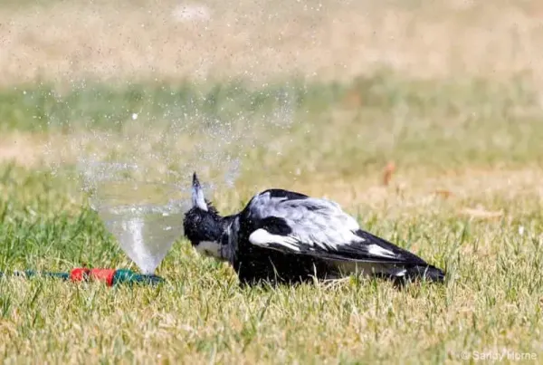  ده عکس برتر جهان