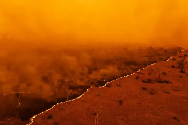 عکس های برنده جایزه جهانی