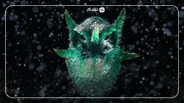  عکس برنده مسابقه