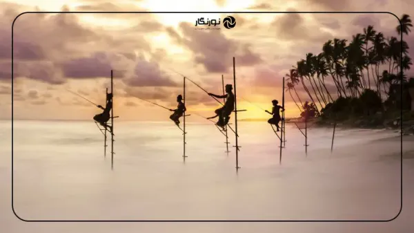  عکس برنده مسابقه