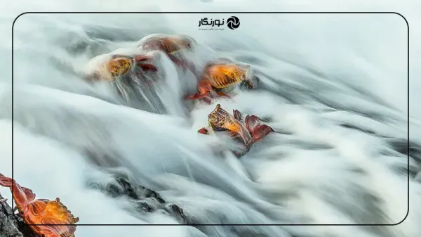  عکس برنده مسابقه