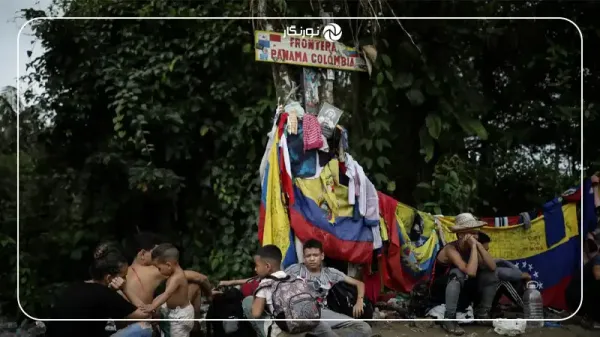  عکس برنده مسابقه