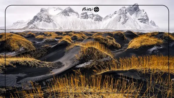  عکس برنده مسابقه