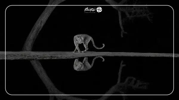 زیباترین عکس های جهان با کیفیت بالا