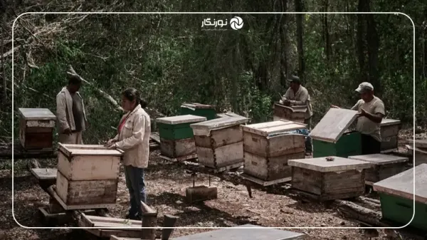  زیباترین عکس های جهان با کیفیت بالا