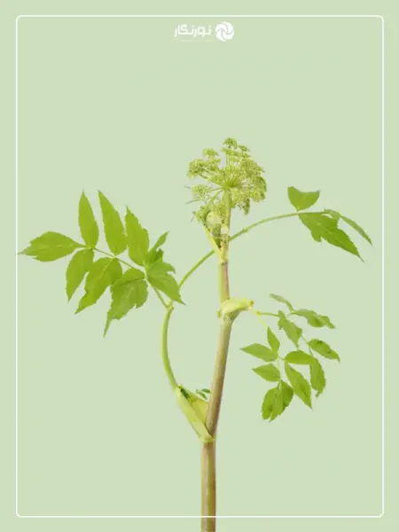  زیباترین عکس های جهان با کیفیت بالا