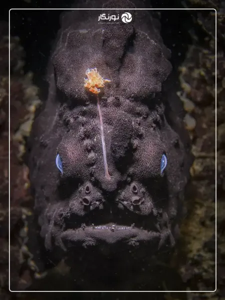  زیباترین عکس های جهان با کیفیت بالا