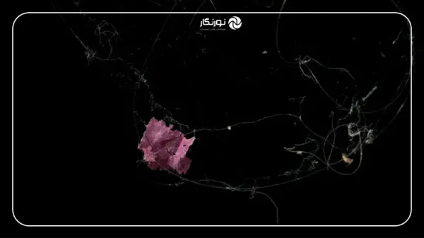  زیباترین عکس های جهان با کیفیت بالا