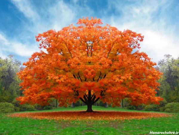  عکس طبیعت با کیفیت بالا برای پروفایل