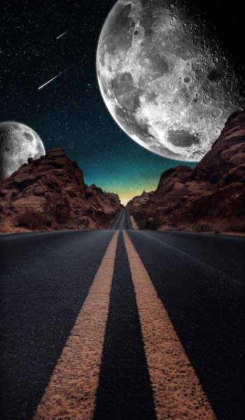  زیباترین عکس دنیا برای پروفایل