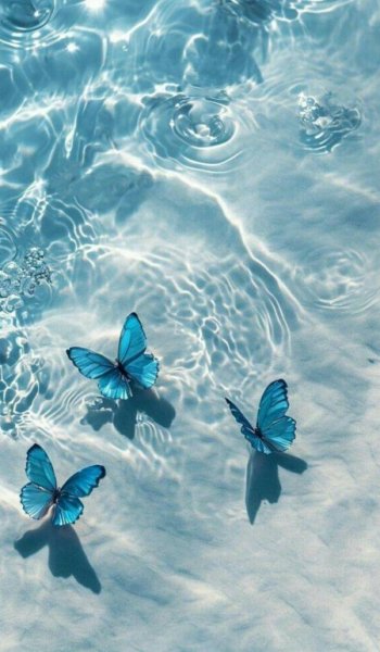  زیباترین عکس دنیا برای پروفایل