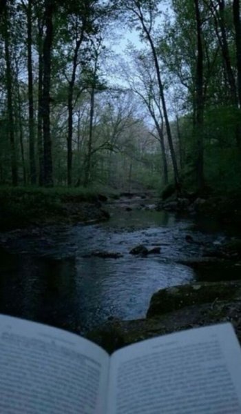  عکس طبیعت سبز با کیفیت بالا