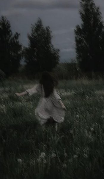  عکس جنگل واقعی