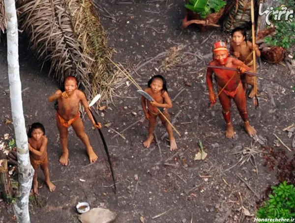  عکس جنگل ترسناک واقعی