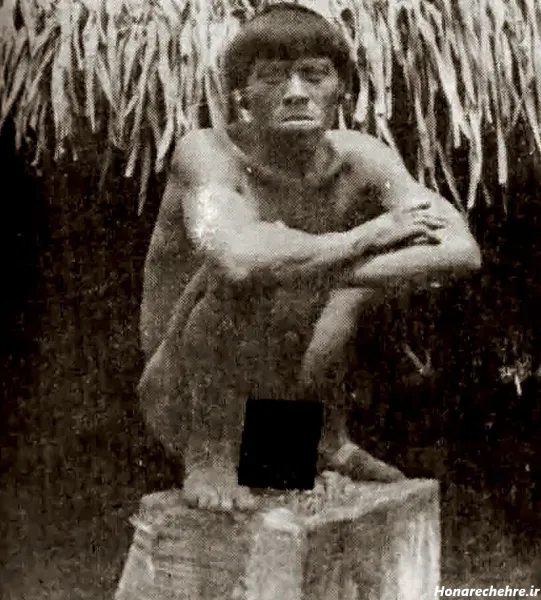  عکس جنگل ترسناک واقعی