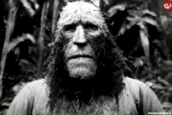  عکس جنگل ترسناک واقعی