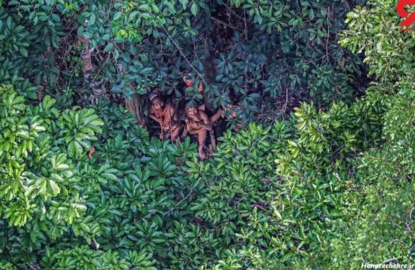  عکس جنگل ترسناک واقعی