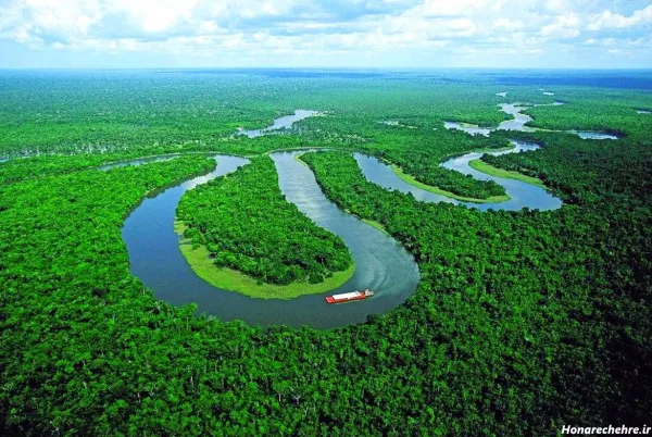  عکس جنگل ترسناک واقعی