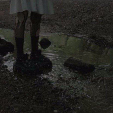 عکس جنگل زیبا برای پروفایل