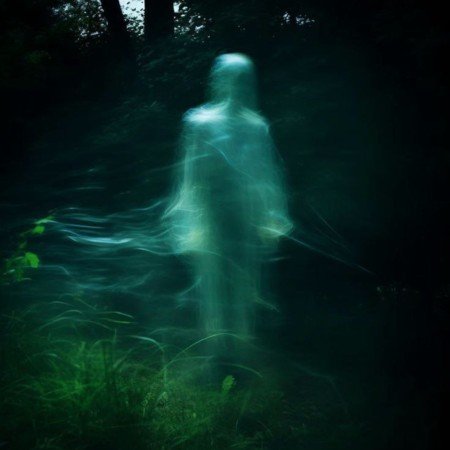  عکس جنگل زیبا برای پروفایل