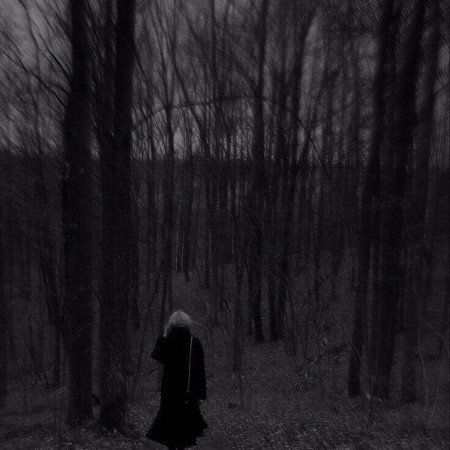  عکس جنگل زیبا برای پروفایل