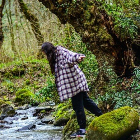  عکس جنگل زیبا برای پروفایل