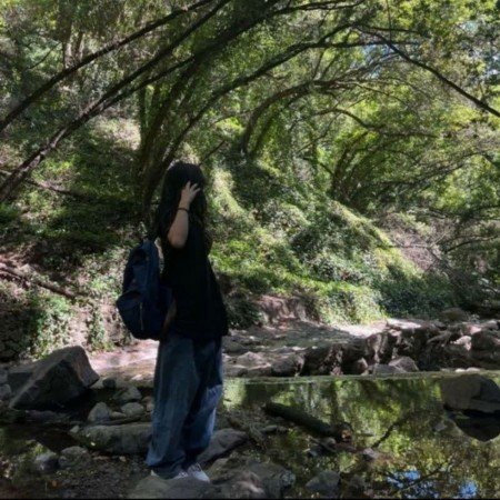  عکس جنگل زیبا برای پروفایل