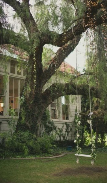  عکس جنگل زیبا برای پروفایل