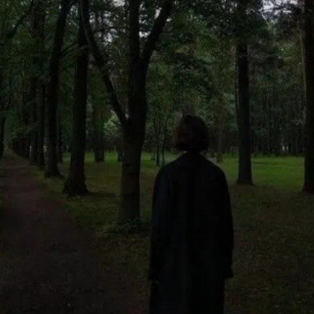  عکس جنگل زیبا برای پروفایل