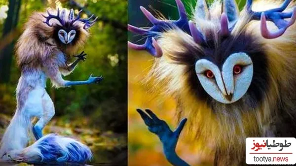  عکس جنگل واقعی با حیوانات