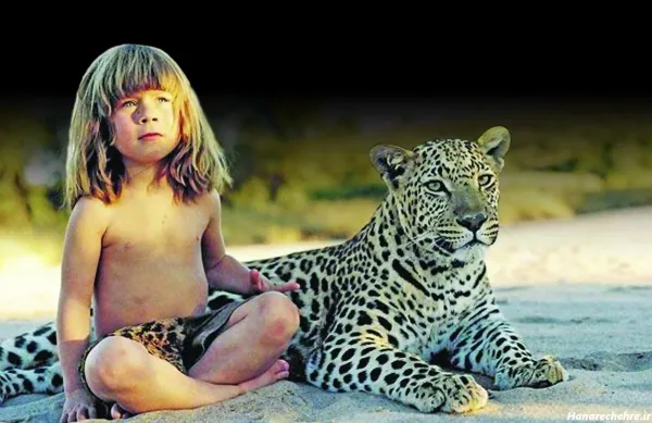  عکس جنگل واقعی با حیوانات