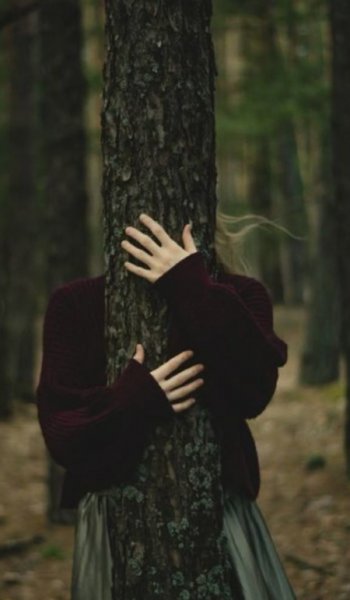  عکس جنگل تاریک برای پروفایل