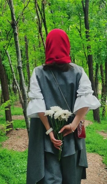  عکس جنگل تاریک برای پروفایل