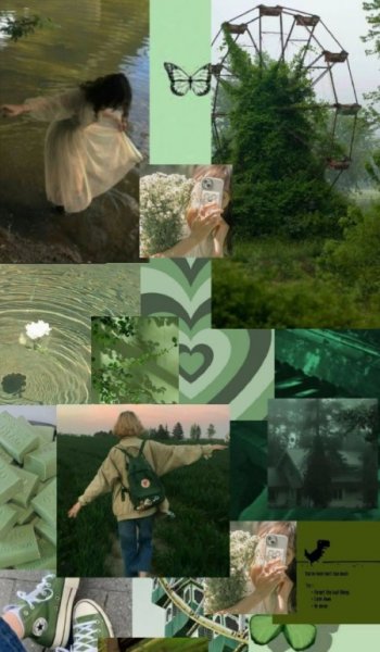  عکس جنگل تاریک برای پروفایل