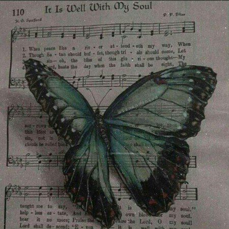  عکس جنگل تاریک برای پروفایل