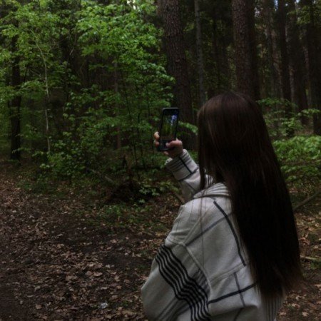  عکس جنگل تاریک برای پروفایل