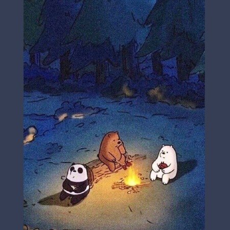  عکس جنگل تاریک برای پروفایل