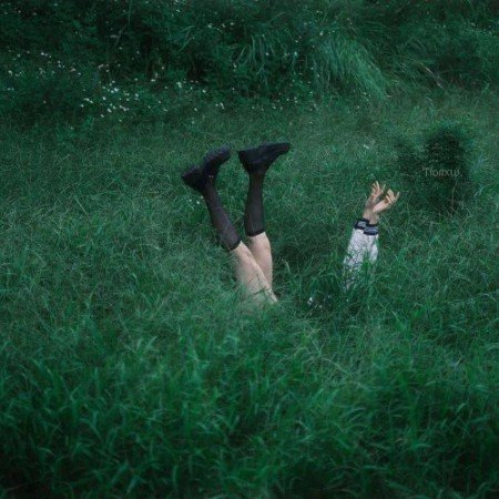  عکس جنگل تاریک برای پروفایل