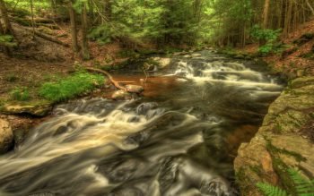  عکس پروفایل جنگل و دریا