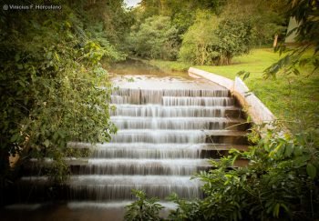  عکس پروفایل جنگل و دریا