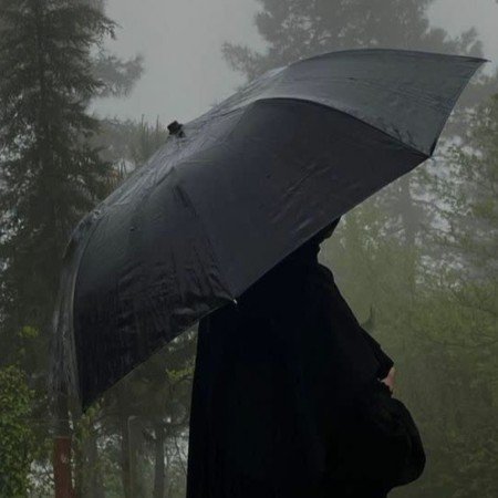  عکس جنگل رویایی