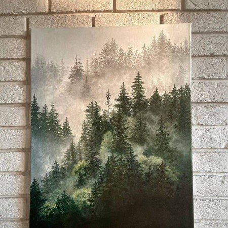  عکس جنگل رویایی