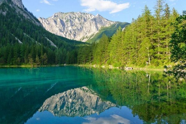  زیباترین عکس جنگل