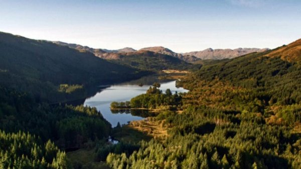  زیباترین عکس جنگل