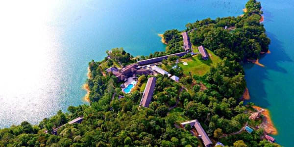 عکس جنگل سرسبز