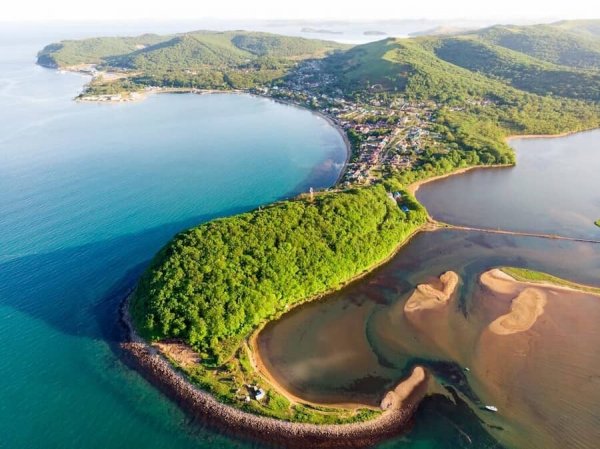  عکس جنگل سرسبز