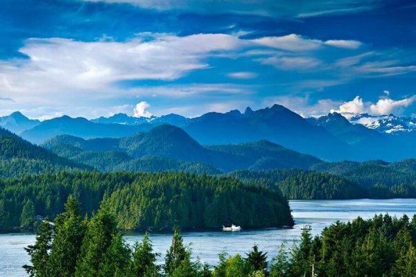  عکس جنگل سرسبز