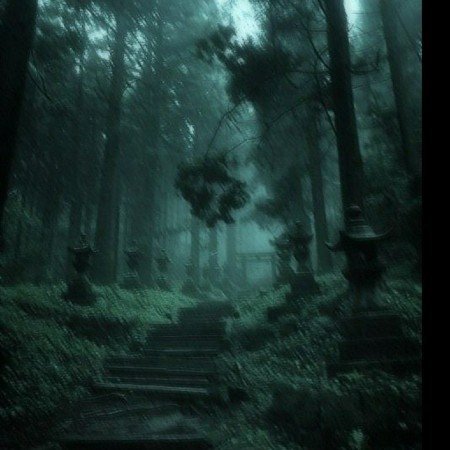  عکس جنگل تاریک زیبا